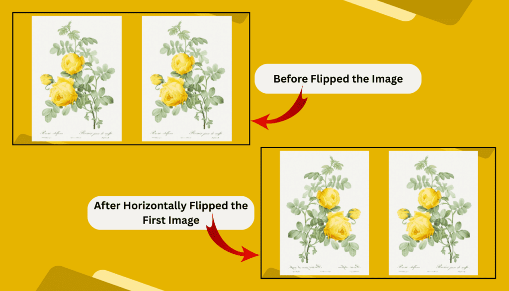 Before & After Flipped Horizontally in Google Slides