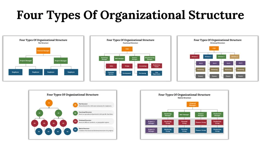 Four organizational structure types presentation template from SlideEgg with hierarchy chart examples.