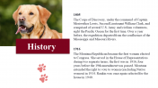 100039--National-Canine-Lymphoma-Awareness-Day_05