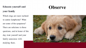 100039--National-Canine-Lymphoma-Awareness-Day_09