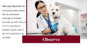 100039--National-Canine-Lymphoma-Awareness-Day_11