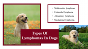 100039--National-Canine-Lymphoma-Awareness-Day_12