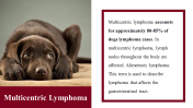 100039--National-Canine-Lymphoma-Awareness-Day_13