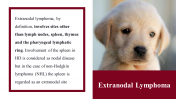 100039--National-Canine-Lymphoma-Awareness-Day_14