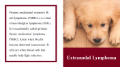 100039--National-Canine-Lymphoma-Awareness-Day_16