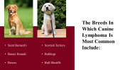 100039--National-Canine-Lymphoma-Awareness-Day_18