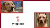 100039--National-Canine-Lymphoma-Awareness-Day_19