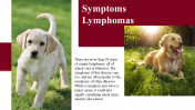 100039--National-Canine-Lymphoma-Awareness-Day_20