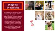 100039--National-Canine-Lymphoma-Awareness-Day_22