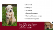100039--National-Canine-Lymphoma-Awareness-Day_24