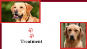 100039--National-Canine-Lymphoma-Awareness-Day_25