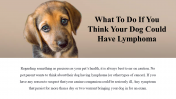 100039--National-Canine-Lymphoma-Awareness-Day_27