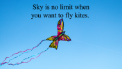 100061--National-Kite-Flying-Day_10