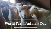 World Farm Animals Day PowerPoint And Google Slides Themes