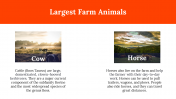 100082-World-Farm-Animals-Day_16