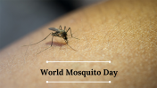 Attractive World Mosquito Day PowerPoint Presentation