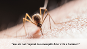 100093-World-Mosquito-Day_30