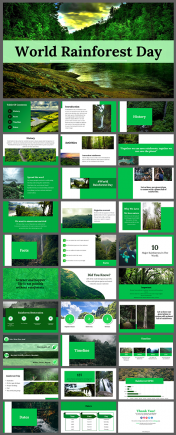 Best World Rainforest Day PPT and Google Slides Templates