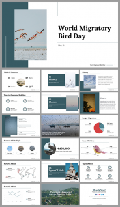 World Migratory Bird Day PPT and Google Slides Templates