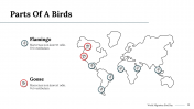 100290-World-Migratory-Bird-Day_14