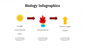 100299-Biology-Infographics_11