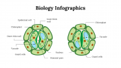 100299-Biology-Infographics_15