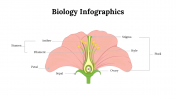 100299-Biology-Infographics_24