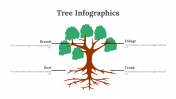 100314-Tree-Infographics_16