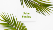 100341-Palm-Sunday_01