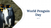 World Penguin Day Presentation And Google Slides Themes