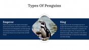 100347-World-Penguin-Day-Presentation_08