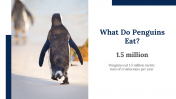 100347-World-Penguin-Day-Presentation_25