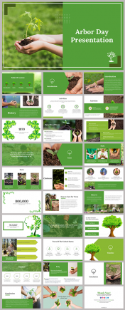 Best Arbor Day Presentation And Google Slides Themes