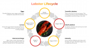 100486-National-Lobster-Day_08
