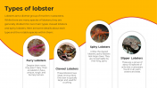 100486-National-Lobster-Day_09