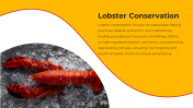 100486-National-Lobster-Day_10