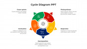 Incredible Cycle Diagram PowerPoint And Google Slides