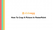 How To Crop A Picture In PowerPoint Presentation