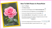 Tips How To Edit Picture In PowerPoint PPT Template