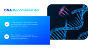 13499-DNA-PowerPoint-Template-Free-Download_09