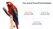 Attractive Free Animal PowerPoint Templates Designs