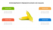 PowerPoint Presentation and Google Slides On Maize