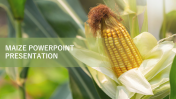 Maize PowerPoint Presentation Template and Google Slides