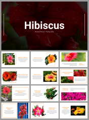 Beautiful Hibiscus Presentation And Google Slides Themes