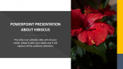 PowerPoint Presentation about Hibiscus and Google Slides
