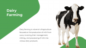 13863-Cow-PowerPoint-Designs_04