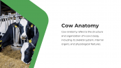 13863-Cow-PowerPoint-Designs_05
