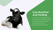 13863-Cow-PowerPoint-Designs_06