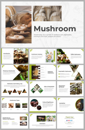Mushroom PPT Presentation And Google Slides Templates