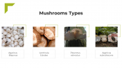 13866-Mushroom-PowerPoint-Template_11